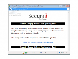 Okno Secunia testu Internet Explorer 7 Popup Address Bar Spoofin