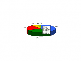 Obsazení trhu výrobci grafik dle JPR: Q1 2007