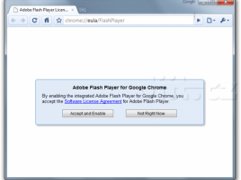 Google Chrome 5 dev s Adobe Flash Playerem