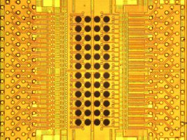 IBM Holey Optochip