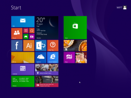 Windows 8.1 „fail?“