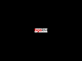 BGS LEVI logo