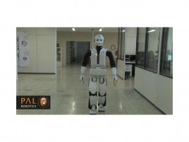 Pal Robotics perex