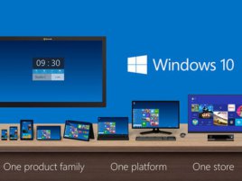 Windows 10 Platform 0 0 Standard 800 0